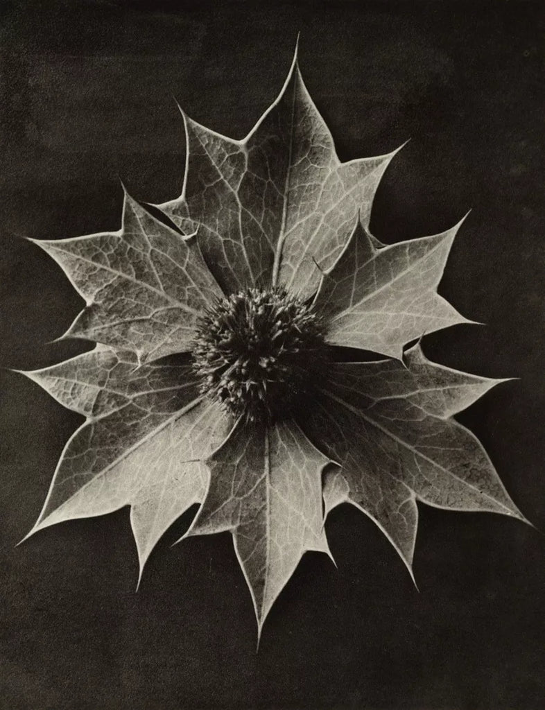 How simple daily rituals can transform your life